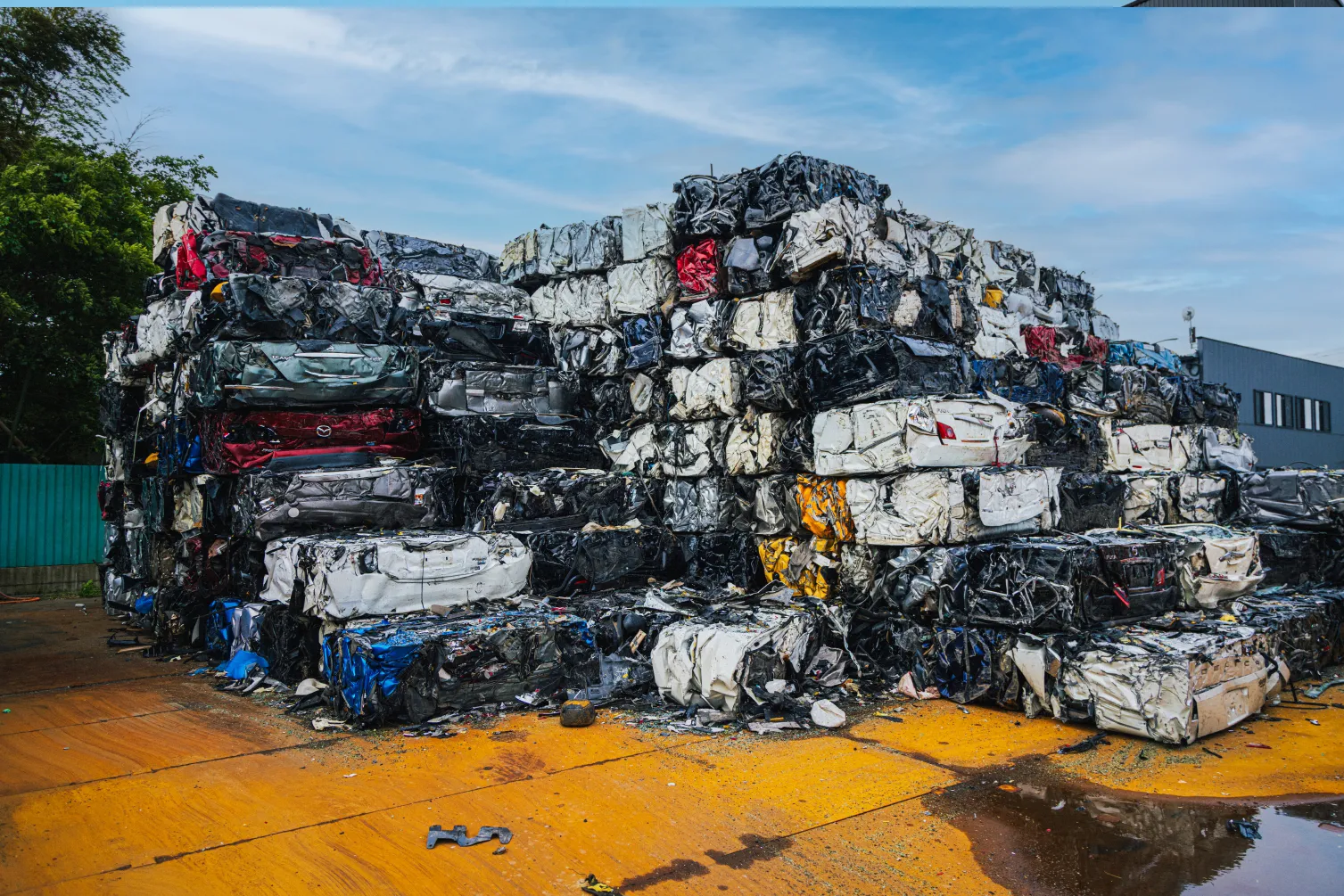 The quiet power of the yard